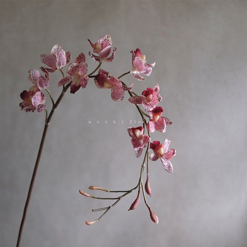 暮雪桃粉色蕙兰蝴蝶兰仿真花枝轻奢高端客厅插花装饰逼真家居假花