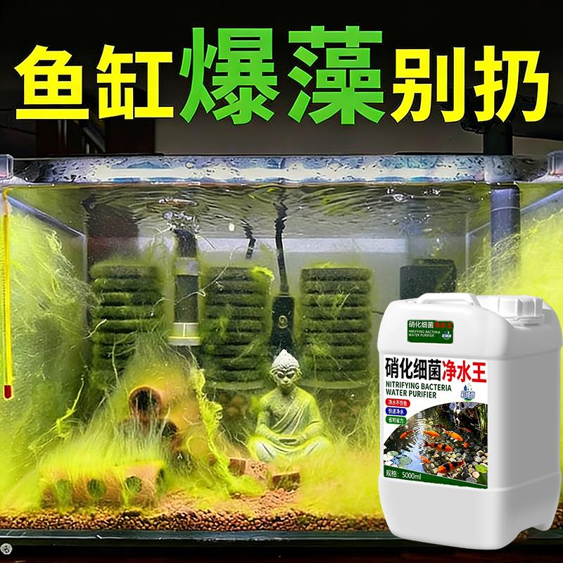 硝化细菌鱼缸净水剂消化细菌水质净化专用锦鲤鱼池稳定剂养水
