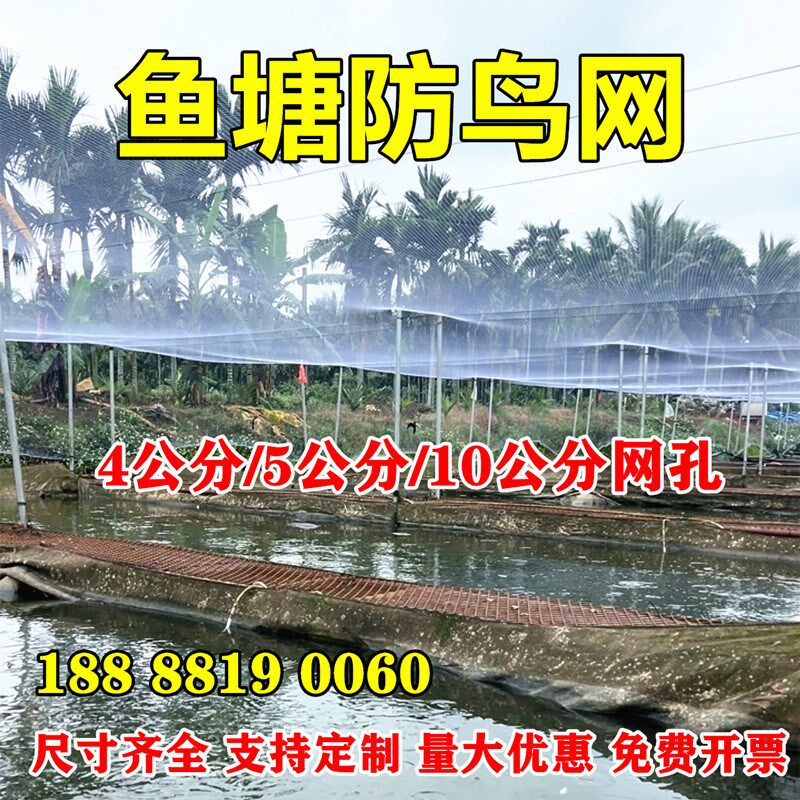 4公分鱼塘防鸟网养殖网农田防鸟网青蛙泥鳅锦鲤养殖天网防鸟天网