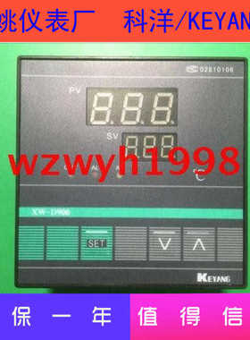 隆兴HOPE科洋XW-D900温控仪XW-D900B-H31J01余姚仪表XWD900*