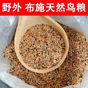 布施鸟食鸟粮野鸟麻雀饲料蚂蚁食物斑鸠天然鸟户外喜鹊画眉文鸟鸦