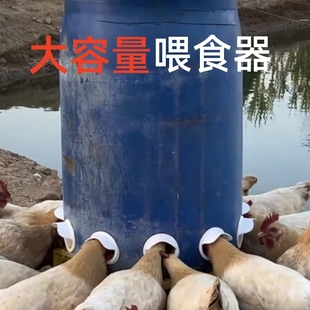 家禽自动投喂器喂鸡神器全自动家用养鸡鹅鸽鸭子下料喂食器大容量