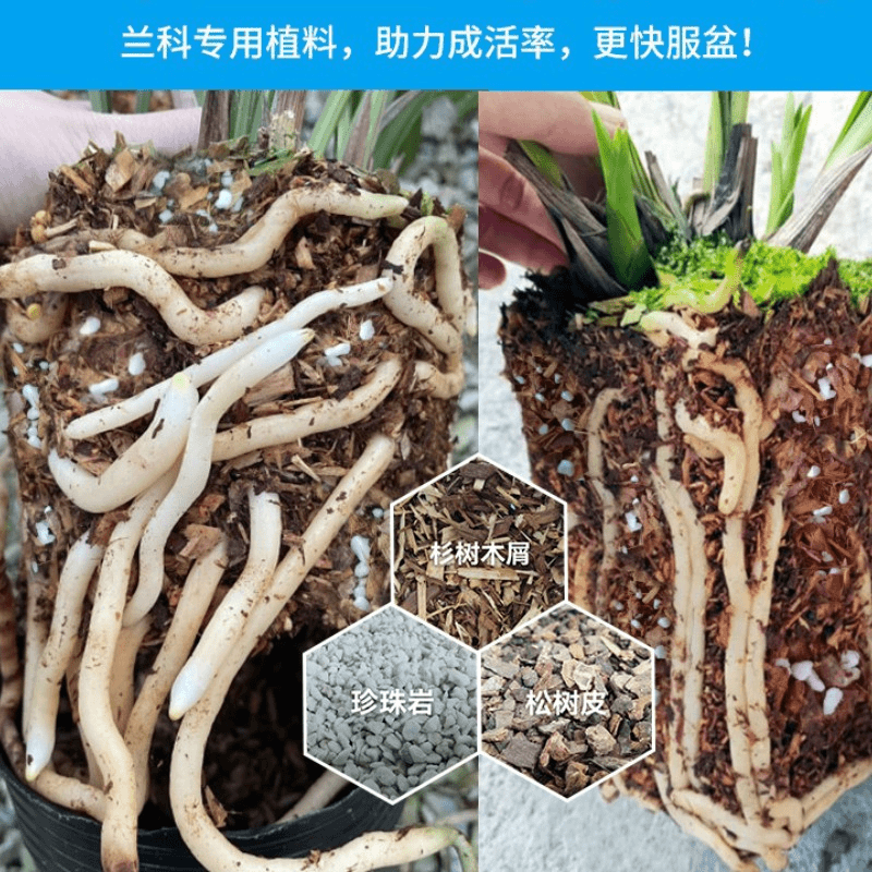 兰花植料杉树木屑松树皮珍珠岩三合一疏松沥水花卉绿植通用营养土