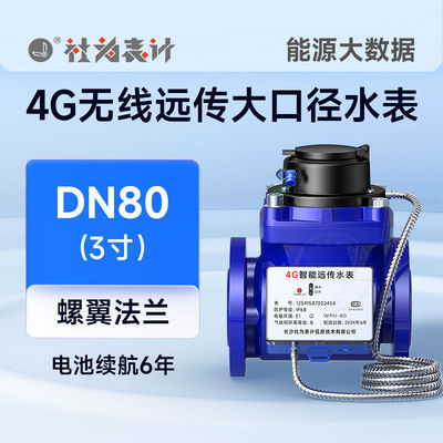 德国进口4g无线智能水表NB远程抄表大口径电子数显水表通用型法兰