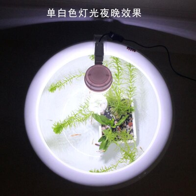 陶瓷圆缸专用照明灯圆形鱼缸防水LED彩灯鱼盆水草灯光节能小圆灯