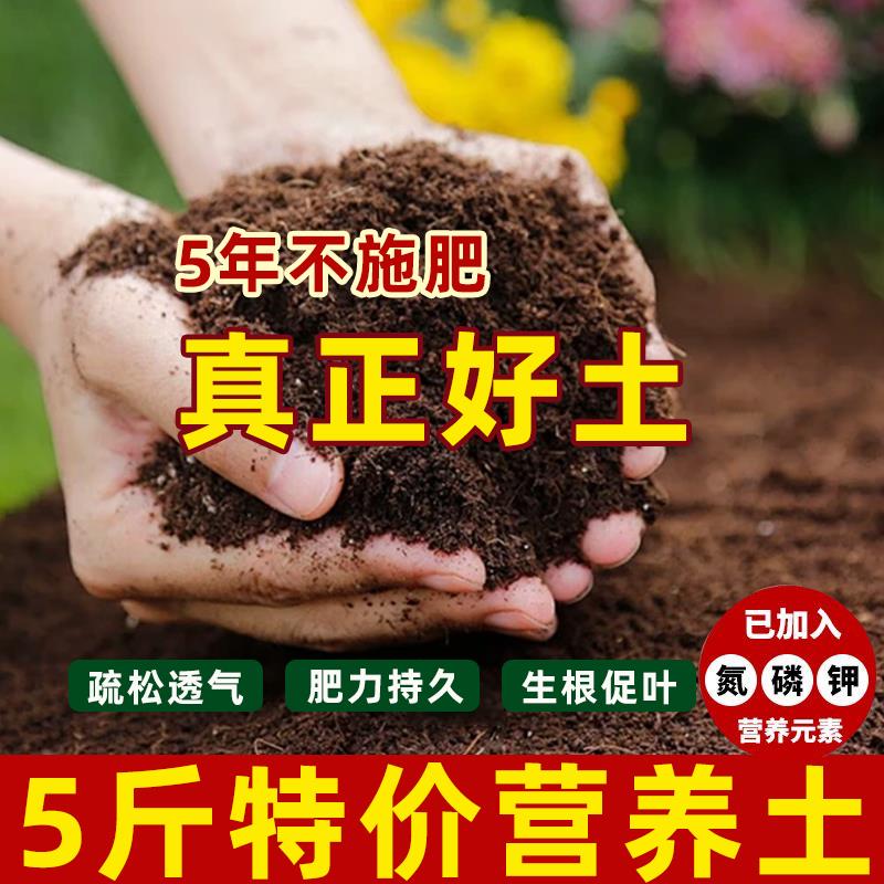 营养土养花种植专用通用型土壤种菜盆栽果树泥土黑土多肉种植肥料