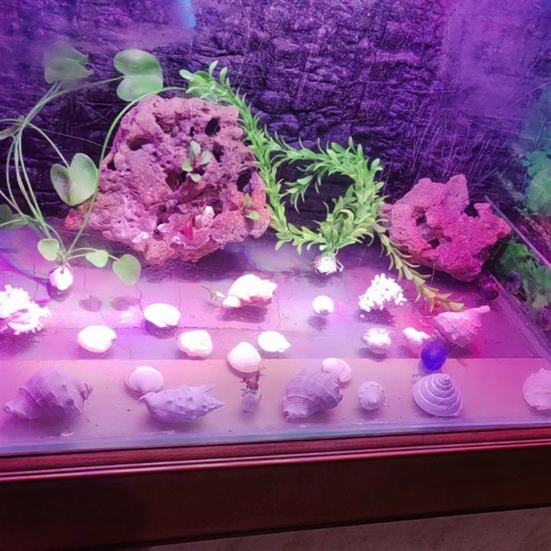 鱼缸灯架led灯架鱼缸彩led灯珠rgb灯亚克力鱼缸灯架