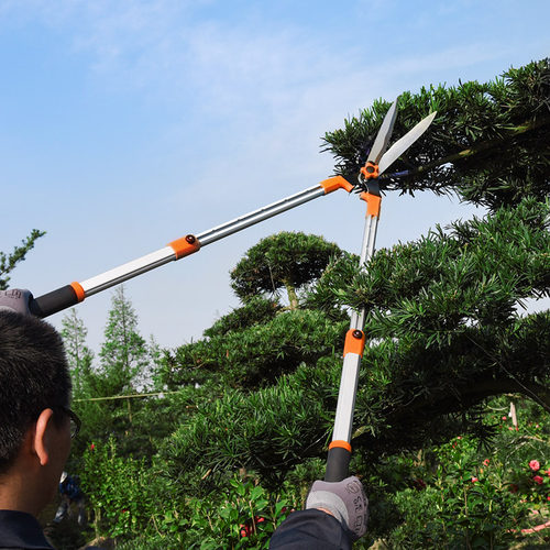 园艺剪绿篱剪草坪修剪修枝剪花剪园林大剪刀篱笆剪修枝伸缩家用剪