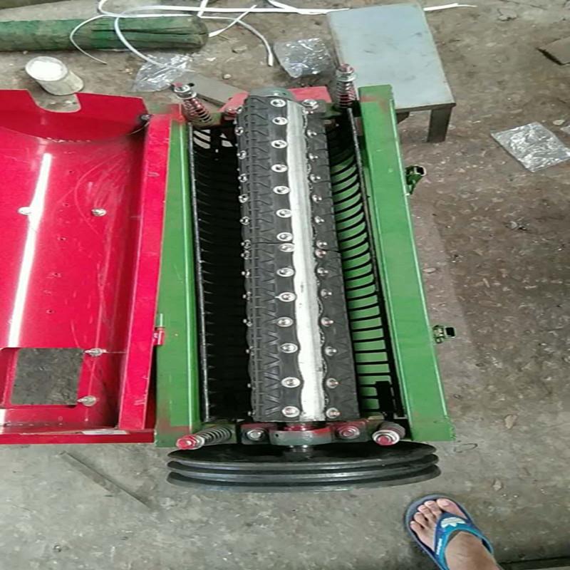 青皮核桃蓬脱壳去皮机厂家核桃JC-100型栗剥皮机青核毛桃去皮 子