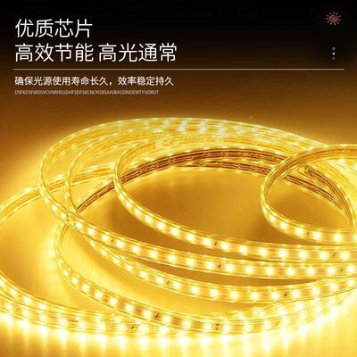 高配LED园太灯阳能灯灯带庭院别墅花氛围照亮明灯带户外爆带