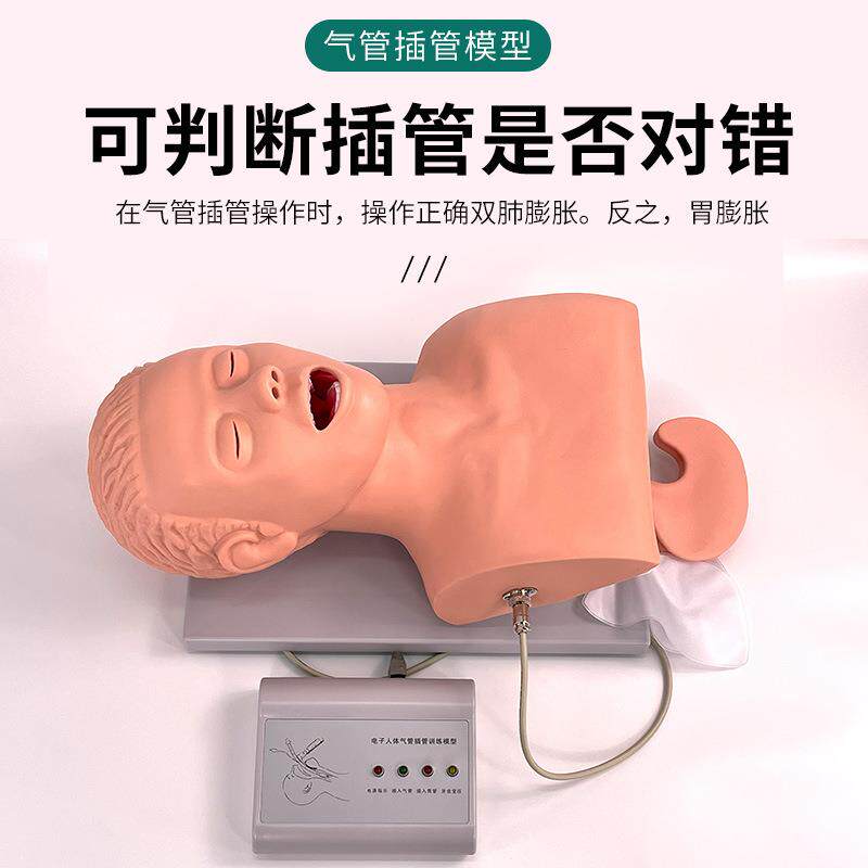 成人气管插管训练模型 牙齿报警 人体电子气管插管训练模型 J5s