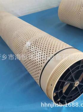 M314P福特玛特自清洗过滤器316不锈钢滤网AF204SF