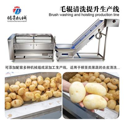 热销毛辊清洗生产线 毛芋南瓜芋仔清洗去泥 毛刷式槟郎芋头清洗
