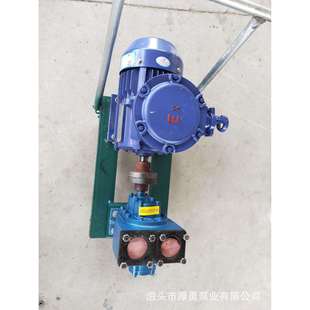 尼龙轮齿轮泵 15圆弧齿轮油泵 柴油汽油输油泵 50YHCB 厚勇