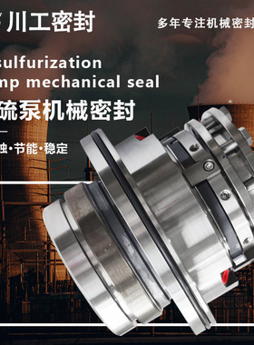 弹簧机械密封\LB-LK7-120D2-S/SV3-1 LB120 制碳化硅密封