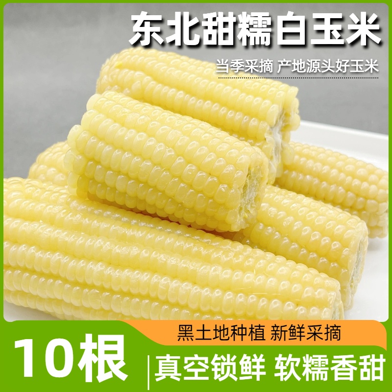 东北白糯玉米甜糯粘玉米棒真空锁