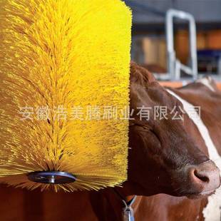 厂家直供畜牧牛体刷清洁蹭痒毛刷全自动旋转辊刷奶牛按摩毛刷辊