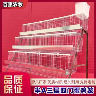 笼养鸡设备厂家 养殖场用半A三层四门蛋鸡笼设备热镀锌多层阶梯式