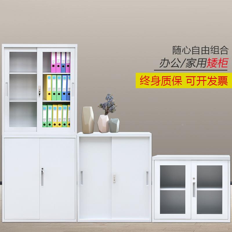 柜铁皮文件柜档案柜小型开矮柜办工公对室落地柜储物柜具LSAG-01
