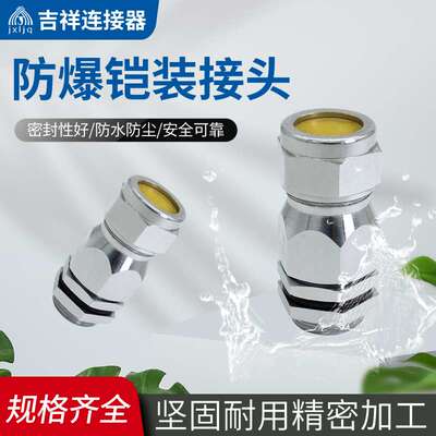 防爆铠装电缆密封接头一内一外铠装格兰头NPT1/2不锈钢316L填料函