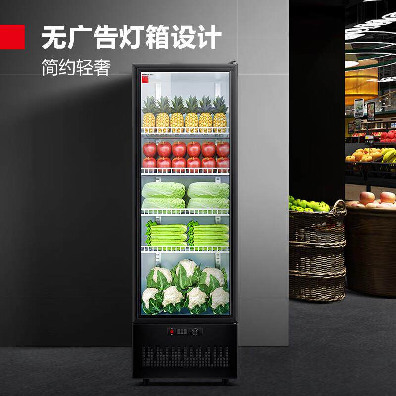 德玛仕 商用冷藏展示柜食品留样保鲜饮料果蔬冷藏冰箱 LG-360ZH1