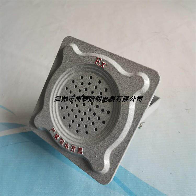 BHY/KYX定压防爆壁挂音箱10W20W音响扬声器广播喇叭定阻5W120V铝