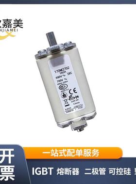 170M2702 快速熔断器 保险丝 电子元器件 库存充足 量大价优