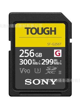 SF-G256T/T1 CN SF-G 系列TOUGH适用 SFG256T 300MB
