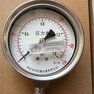 100 全不锈钢耐震压力表YTH YBF BLD 北京布莱迪