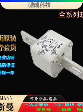 巴斯曼170M4616 170M4617 170M4618 厂家供货质优价廉 低压熔断器