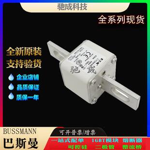 巴斯曼170M4616 170M4617 170M4618 厂家供货质优价廉 低压熔断器