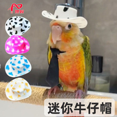 狸奴小宠牛仔帽鹦鹉仓鼠鸡兔子迷你帽头饰品 微瑕疵不影响使用