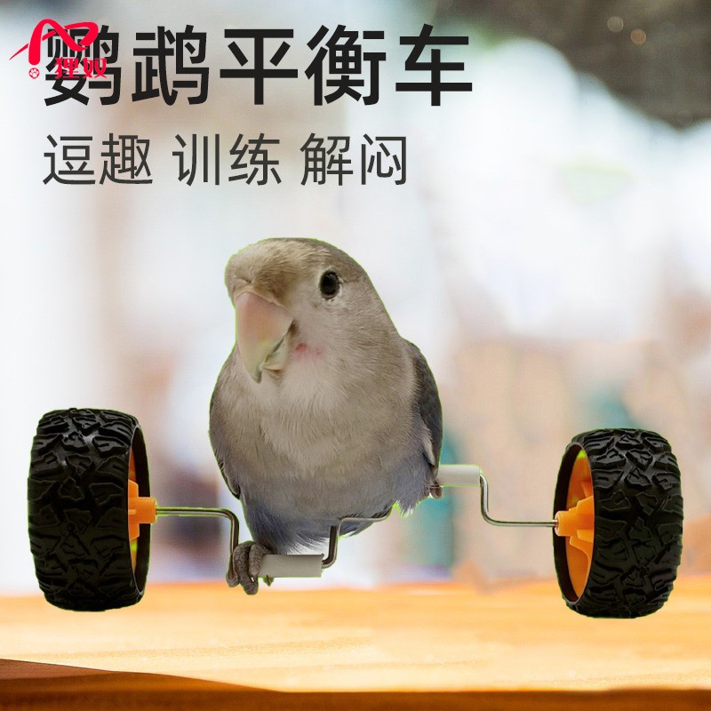 狸奴鹦鹉金属平衡车滑轮滑板玩具