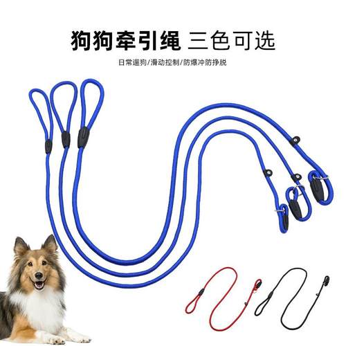 中小型宠物用品狗狗牵引带P绳宠物狗绳P链宠物用品 优质尼龙实用