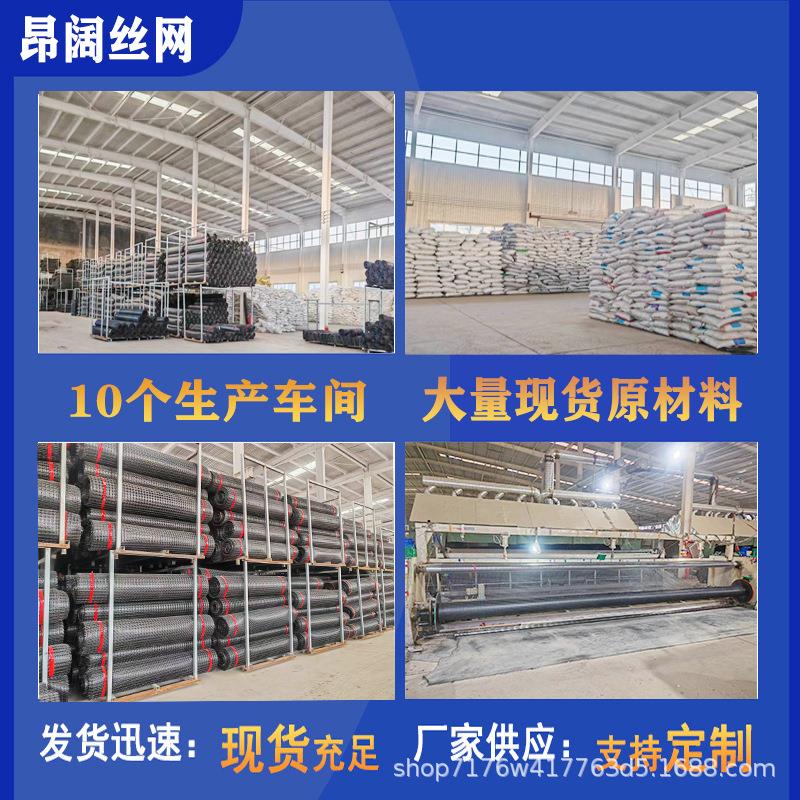 土工格栅鸭围栏鸡鱼塘果园河道大AYO棚菜养园围网殖漏粪黑色养塑