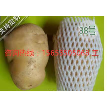套珍珠棉网挤出机芒果包机装网机SG-EPEW-百香果网袋生产厂家套现