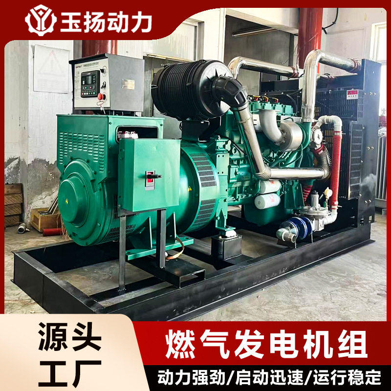 出口俄罗斯24小时常用电源 250KW天然气发电机组油田伴生气发电
