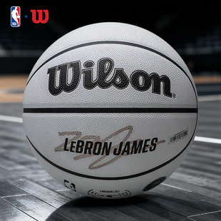 Wilson威尔胜篮球詹姆斯签名版成人专业训练室内室外7号比赛用球