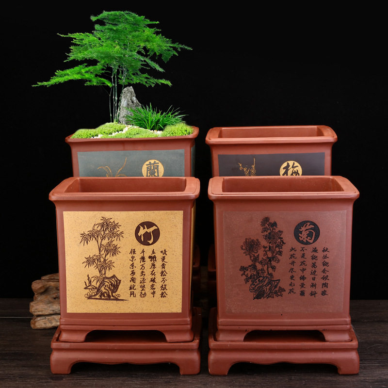 宜兴紫砂兰花盆大号陶瓷四方带底座君子兰绿萝蝴蝶兰吊兰盆栽批发