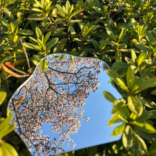 高清防爆不规则镜子diy桌面亚克力化妆镜梳妆台拍U照夜市摆摊镜子