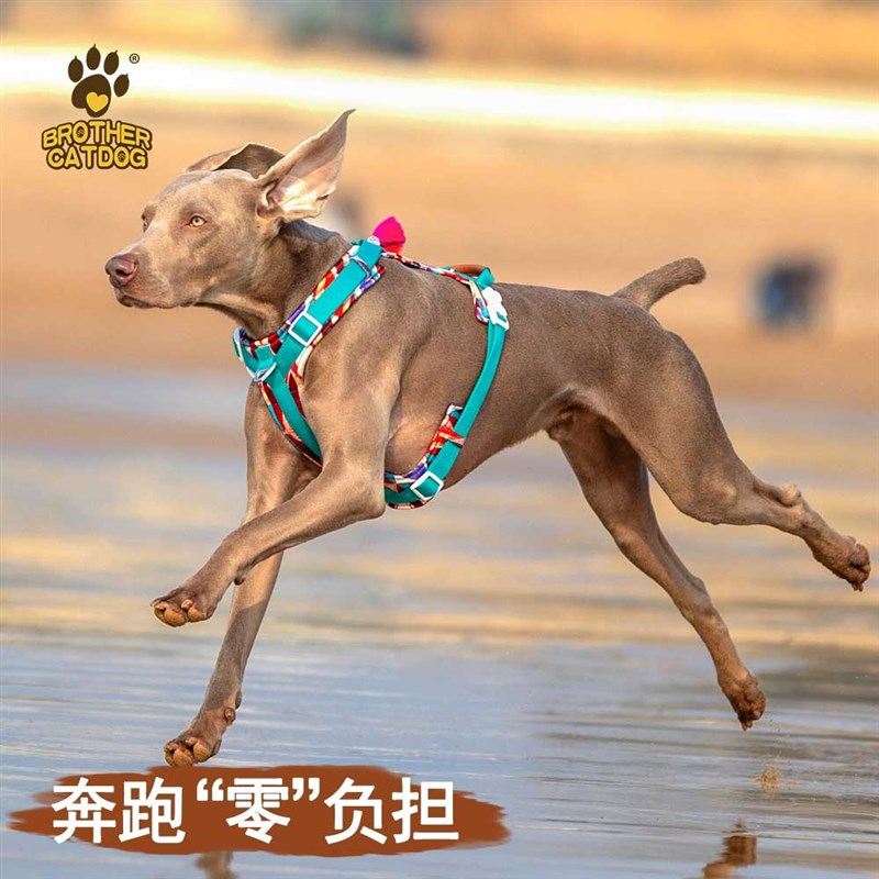 狗狗胸背带牵引k中大型犬外出牵引绳牵狗绳防挣脱大狗夏天