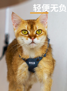 猫咪牵引绳背心式胸背带外t出专用防挣脱溜猫绳子栓猫链子宠物用