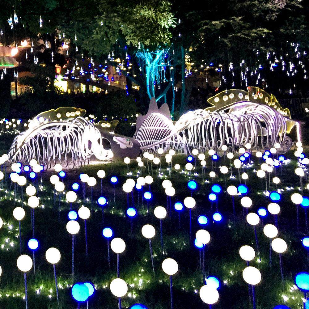 led圆球芦苇灯订制户外防水发光球草坪灯庭院装饰灯景观地插灯