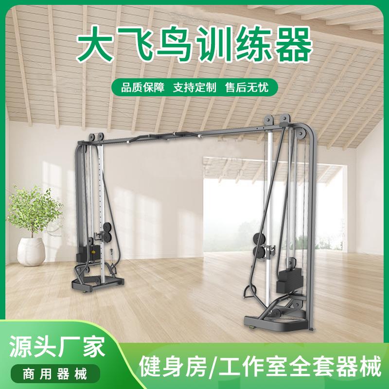 大飞鸟臂力腹肌大型综合训练器龙门架健身房私教自由力量健身器材