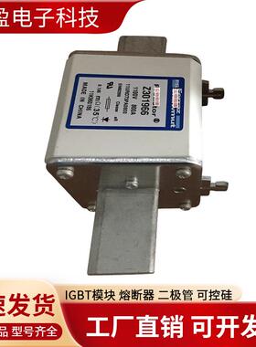 法国熔断器PC33UD45V2500TFL300758A070UD33TTI450X302171