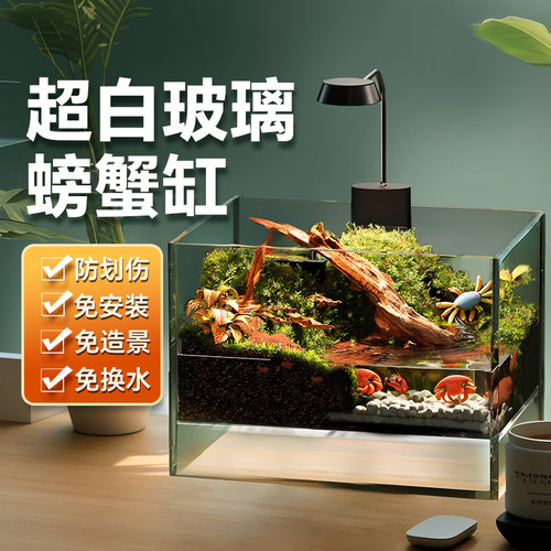 寄居蟹饲养箱小螃蟹生态相手相守蟹专用蟹缸宠物养螃蟹Y造景小别
