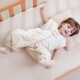 彩棉宝宝睡袋婴h儿春秋恒温睡袋新生儿秋冬分腿儿童防踢被四季 通
