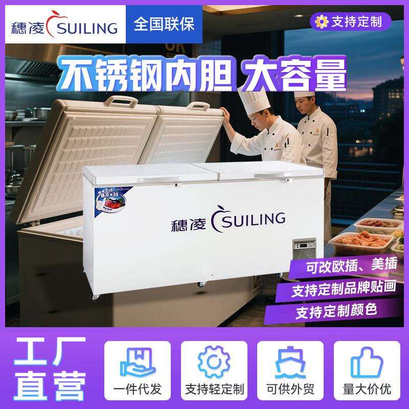 穗凌现货冰柜商用冷冻柜冷冻冷藏切换冰箱单温冷柜源头工厂