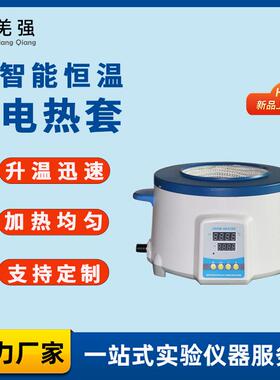 智能恒温电热套 ZNHW数显恒温电热套 实验室智能调温恒温加热套