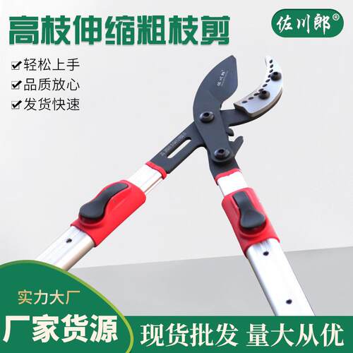 供应鼎克高枝剪大力伸缩剪 伸缩粗枝剪高枝剪园林伸缩剪